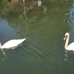 Au Fils De L\'Eau