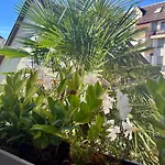 Les Maraichers
