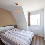 L\'Escapade Strasbourgeoise - Magnifique Petit T2 Refait A Neuf