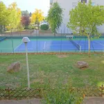 Arbres & Tennis