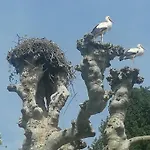 A La Tour Des Rohan