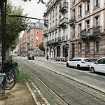 Petit Nid Sympa A Strasbourg