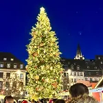Appartement Strasbourg Centre