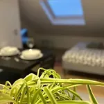 Cosy Rent Strasbourg Studio 3 Tv-Wifi Proche Gare