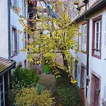 Appartement Typique Alsacien
