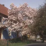 Maison des écluses Strasbourg F3 90m2 Jacuzzi Climatisation
