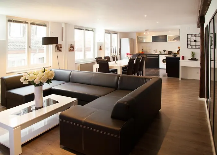 Le Corbeau - Grand Appartement Strasbourg Centre, Calme