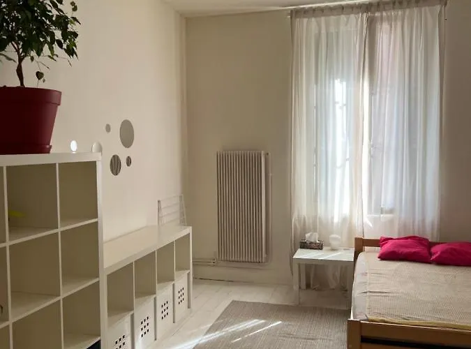 Studio Entier En Centre Ville