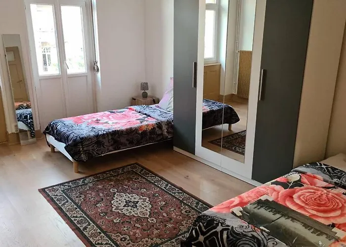 Grand 4P Strasbourg Orangerie 7 Personnes Proche D Allemagne