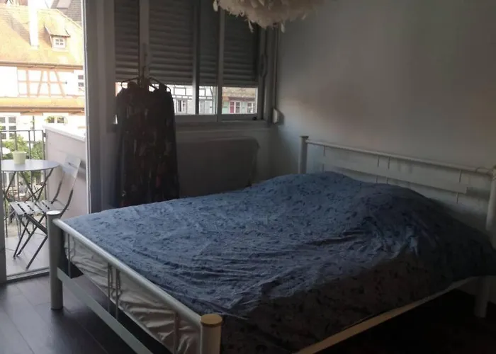 Magnifique Appartement