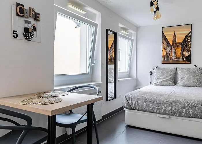Residence Le Premium, Hyper Centre, Studio Tout Equipe