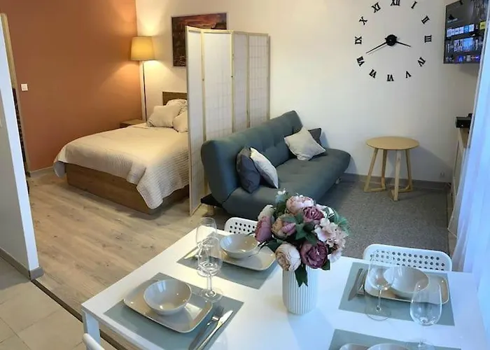 Grand Studio Proche Centre