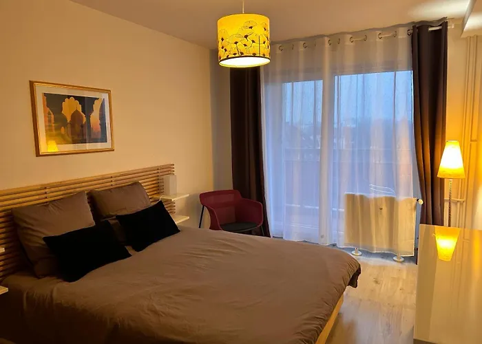 Appartement Sur Les Bords De L\'Ill