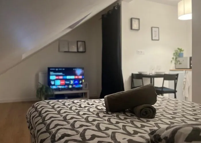 Cosy Rent Studio 1 Strasbourg -Gare - Tv - Wifi