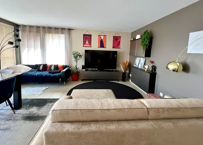 Appartement Climatise 3 Etoiles T3 Chic A Strasbourg Avec Billard Et Terrasse