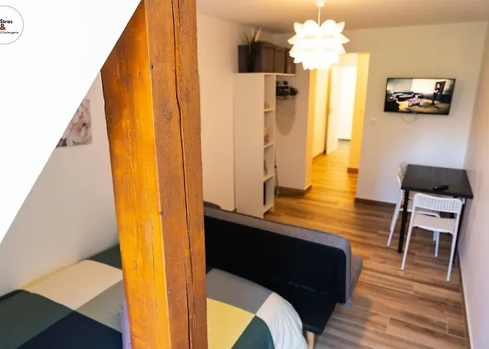 Studio Cosy Esplanade Strasbourg