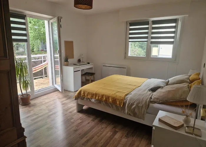 Robertsau Tres Bel Appartement