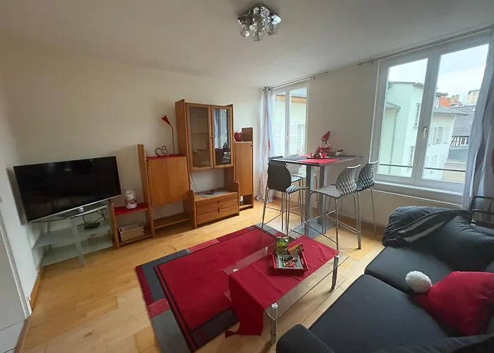 Appart 3P 57 M2 Le Coeur De La Krutenau Strasbourg