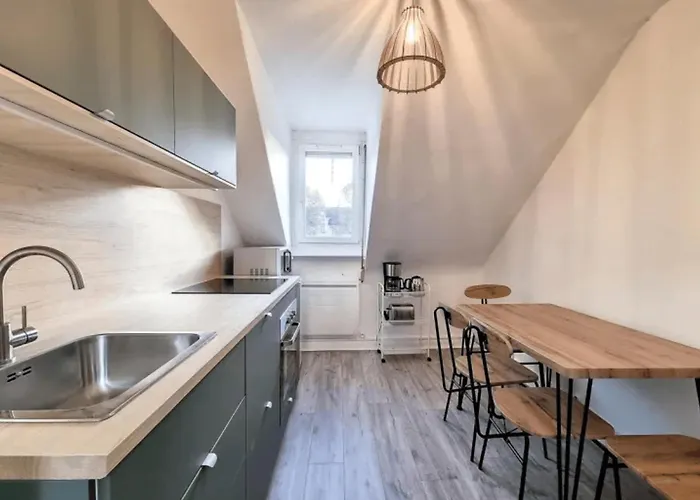 Cosy Rent Strasbourg Saint Florent Proche Gare