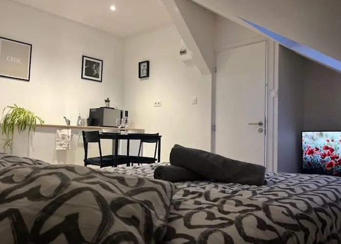 Cosy Rent Strasbourg Studio 1Tv - Wifi Proche Gare