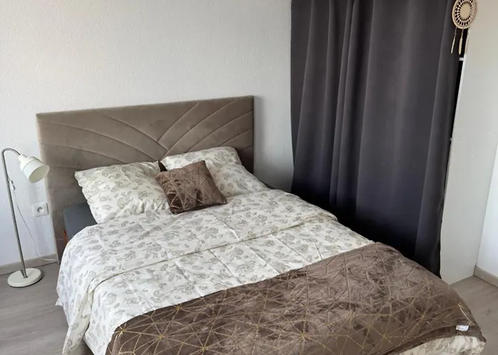 Cozy Studio Near Tram - Center