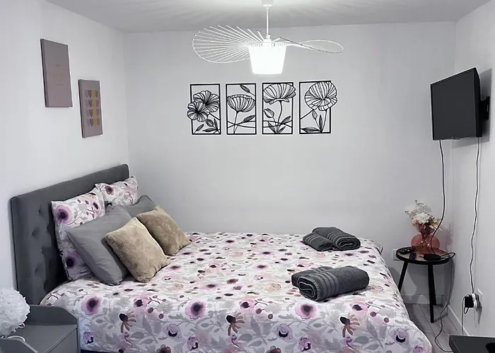 Le Patcho Charmant Studio Confortable & Chaleureux , Idealement Situe Proche Centre Ville Quartier Neustadt Tribunal, Contades