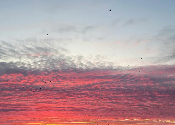 Spacieux Nid Douillet Avec Vue Panoramique