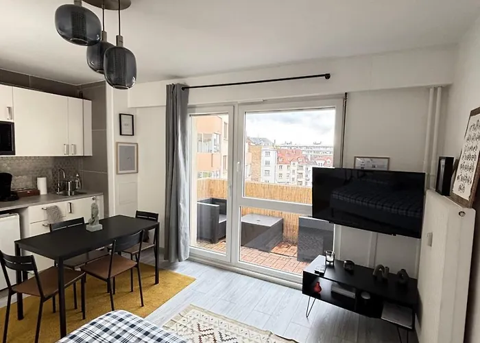 Soh Rent Strasbourg Wifi Terrasse St Aloise