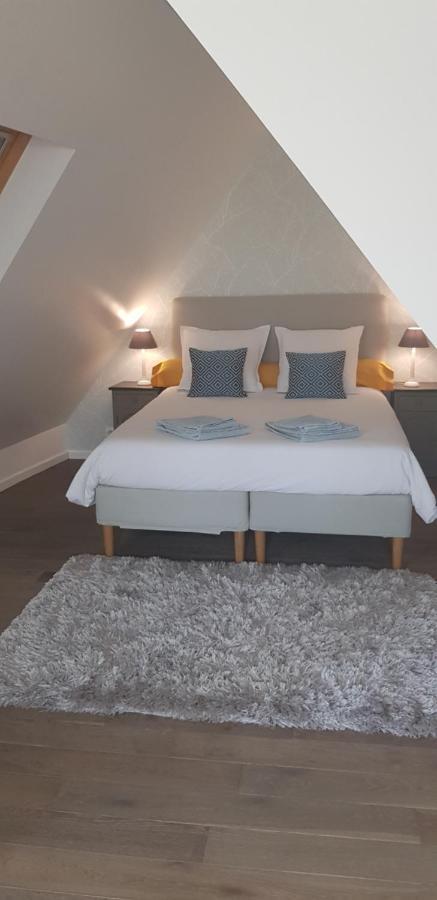 Le Nid De L'ill, Magnifique Duplex Cosy Petite France * Strazburg