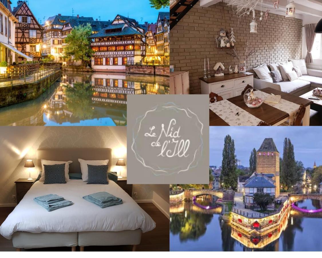 Le Nid De L'ill, Magnifique Duplex Cosy Petite France *