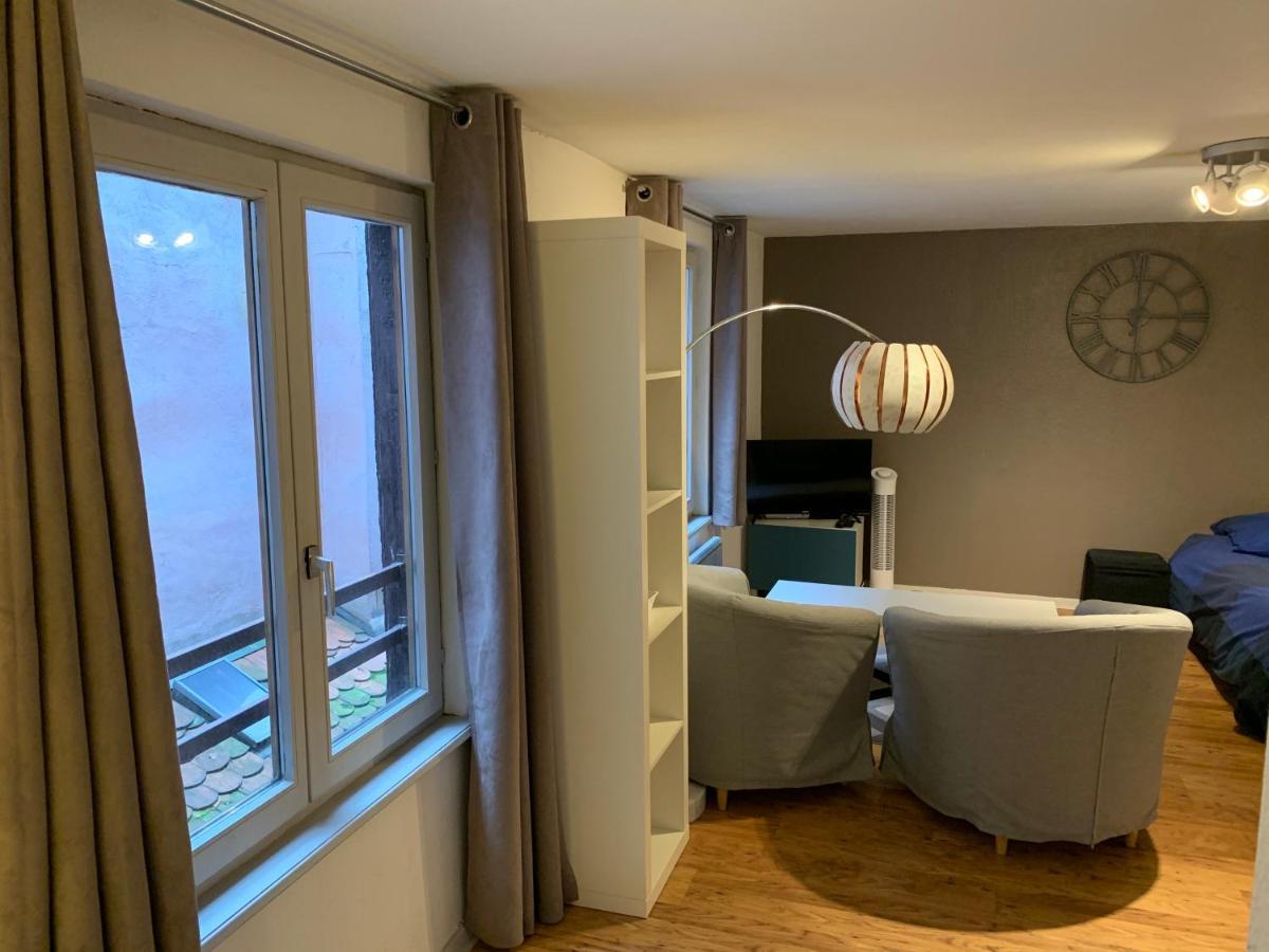 Grand Studio - Au Faubourg - Centre Apartment Strasbourg
