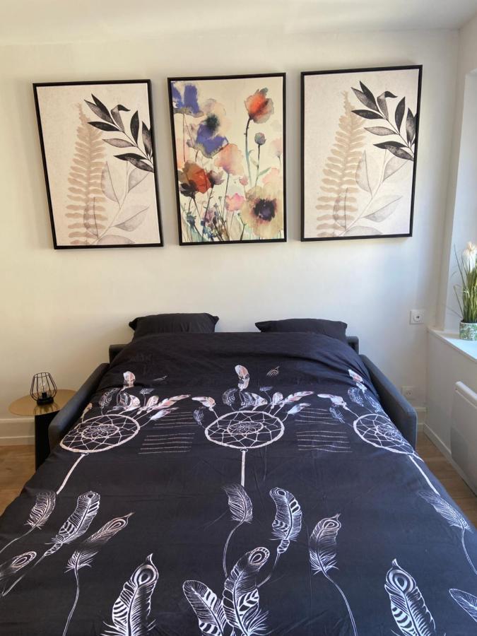 Appartement Cathedrale Strasbourg