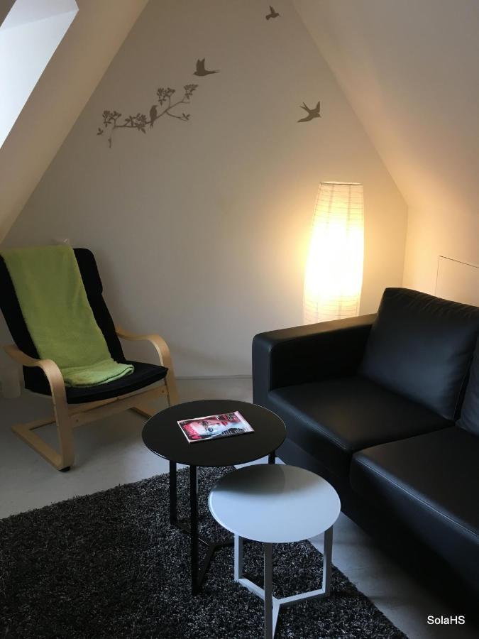 Appartement Le Nid De La Cathedrale Straatsburg