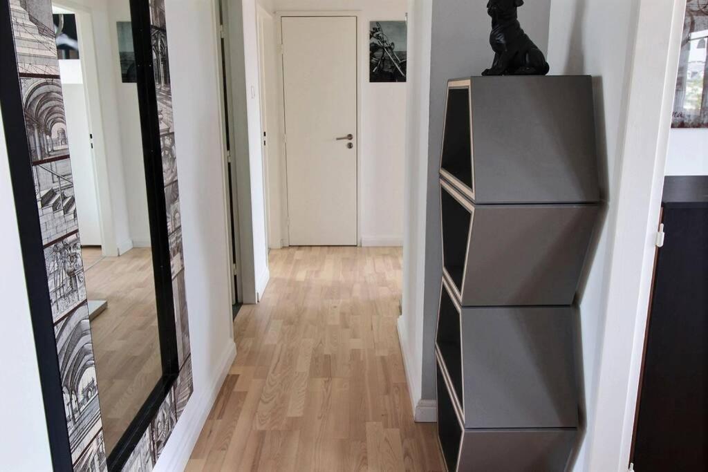 3 Pieces En Plein Centre De Strasbourg