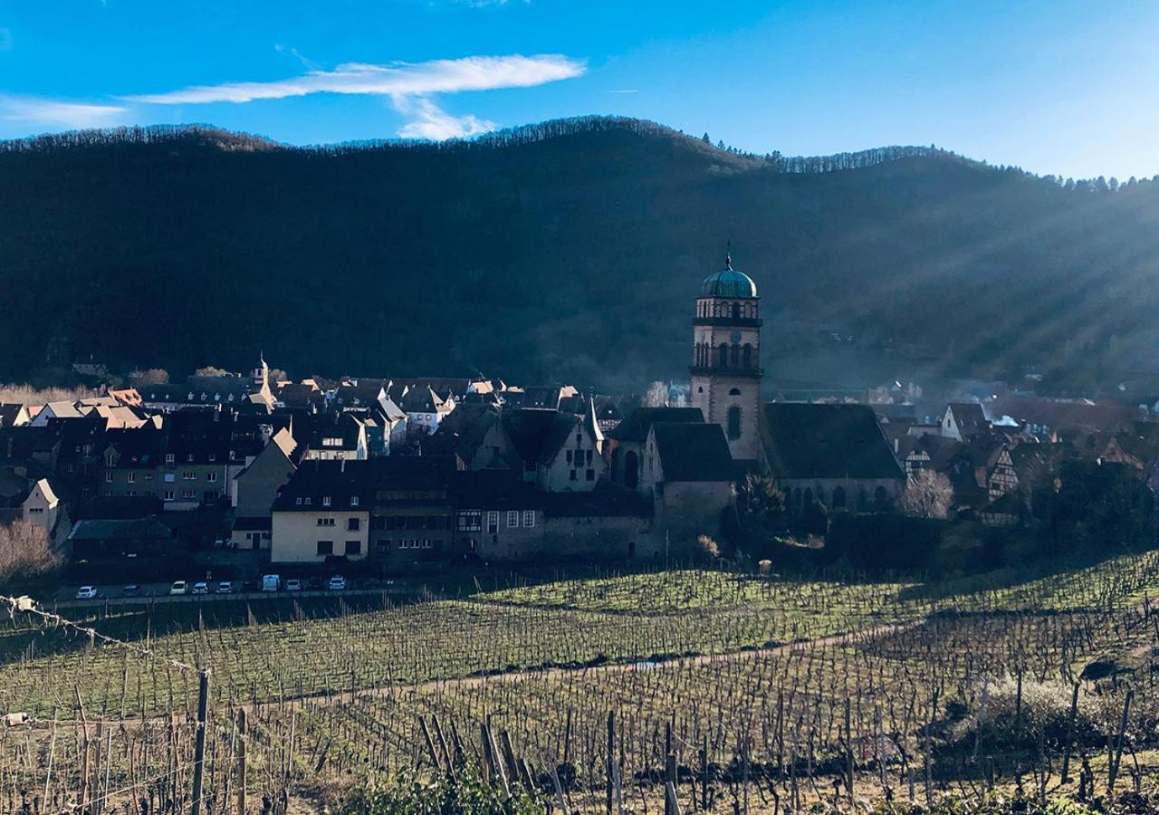Maison Duplex, Avec Terrasse Dans Strazburg