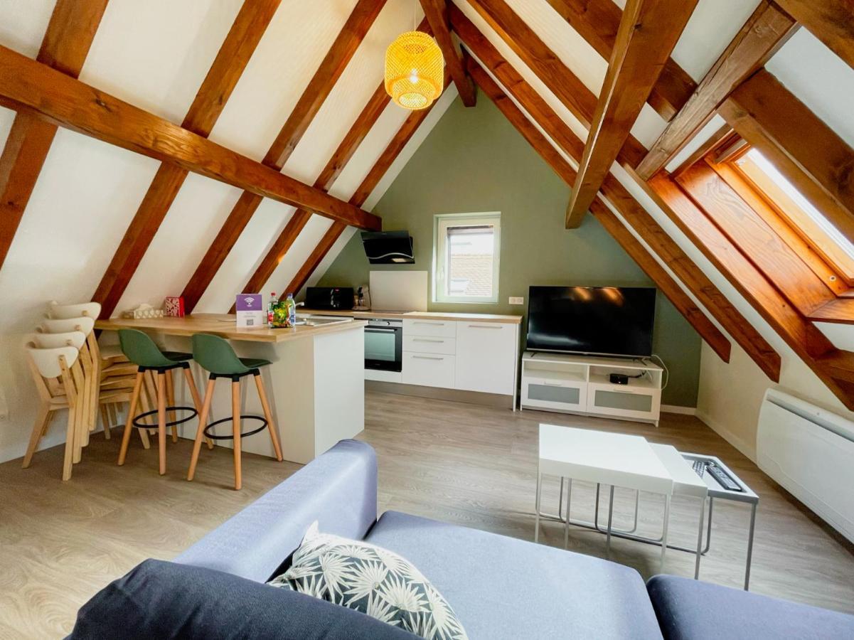 Le Cocon - Classe 3 Etoiles - Avec Garage, A 5mn Du Centre Strasburg