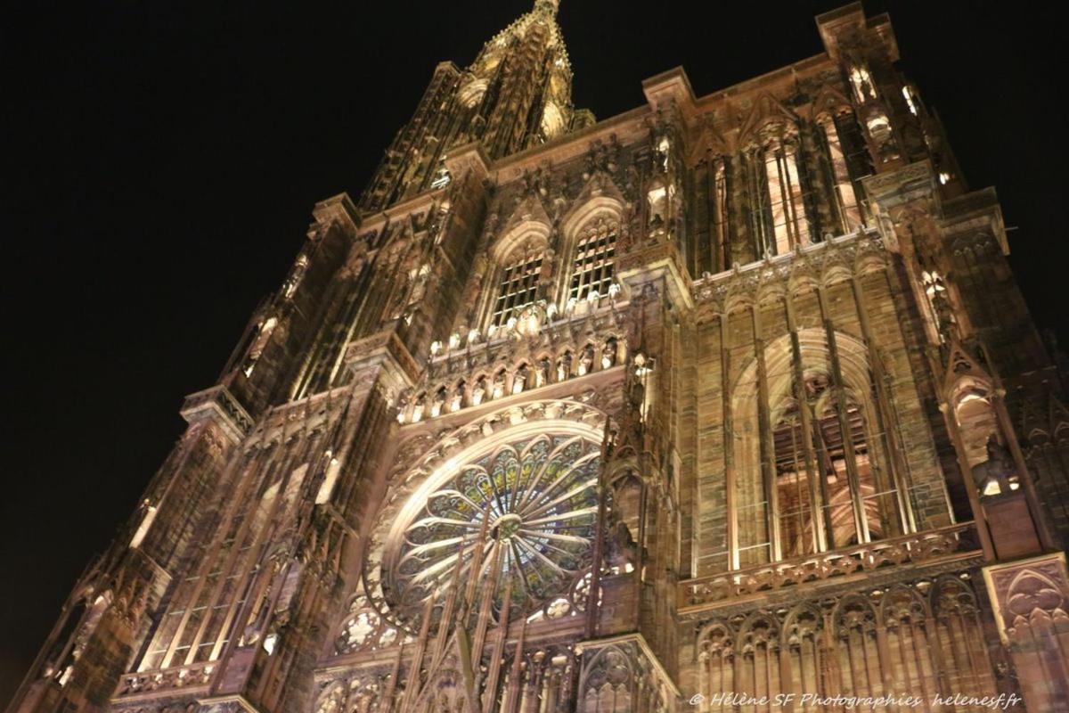 Les Cedres - Jacuzzi, Terrasse & Jardin - Wifi - Stationnement Gratuit Dans La Rue * Strasbourg