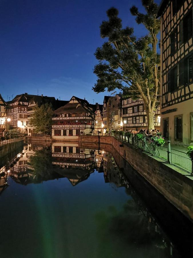 Les Cedres - Jacuzzi, Terrasse & Jardin - Wifi - Stationnement Gratuit Dans La Rue Strasbourg