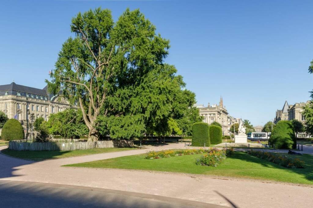 Apartament Magnifique Au Coeur De La Petite France Strasburg