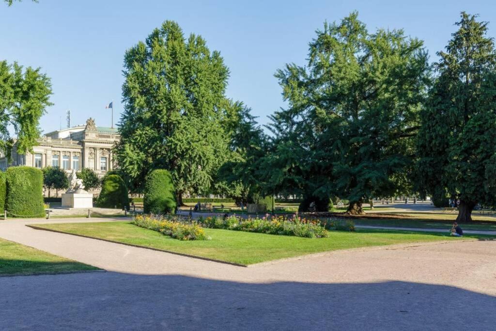 Magnifique Au Coeur De La Petite France *
