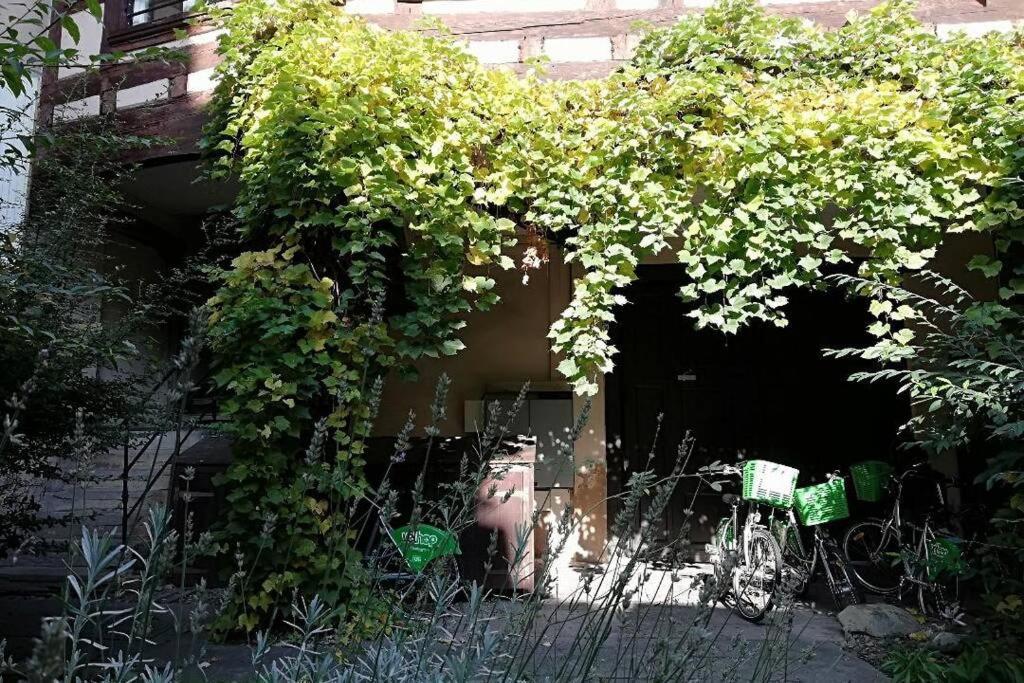 La Chaumiere Appartement