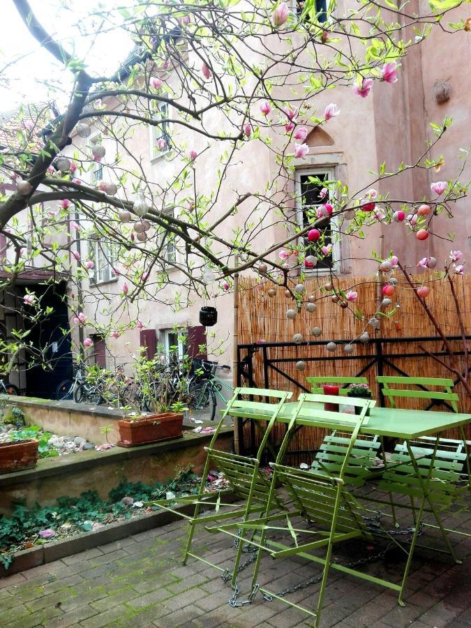Apartment Petite France Avec Terrasse *