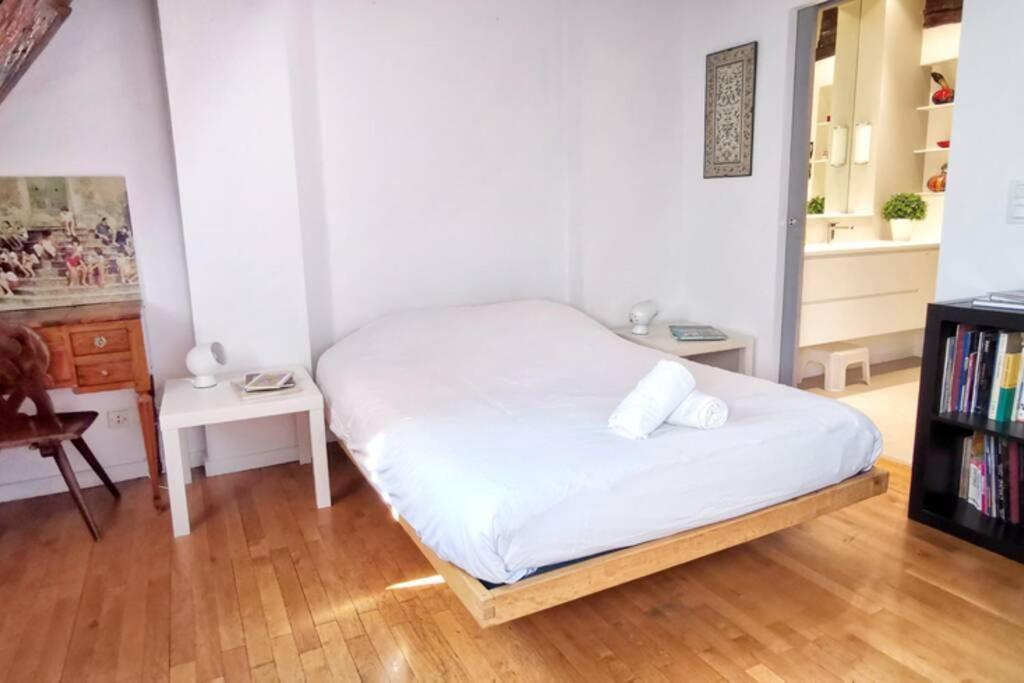 200m2 Triplex Proche Cathedrale Apartment Strasbourg