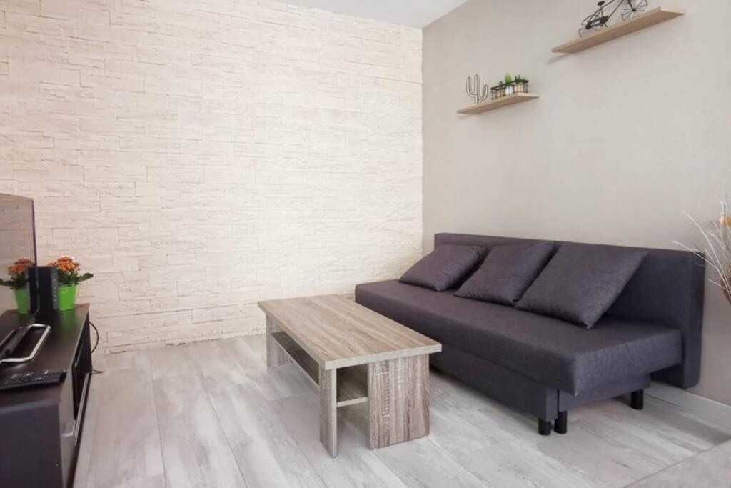 Appartement F2 Cosy Proche Centre Apartment Strasbourg