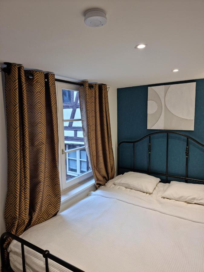 Le Colonial - Au Coeur De - 4 Couchages Strasbourg