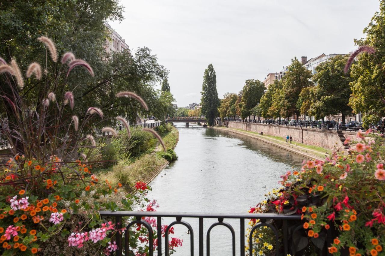 L'appart Du Quai Avec Terrasse