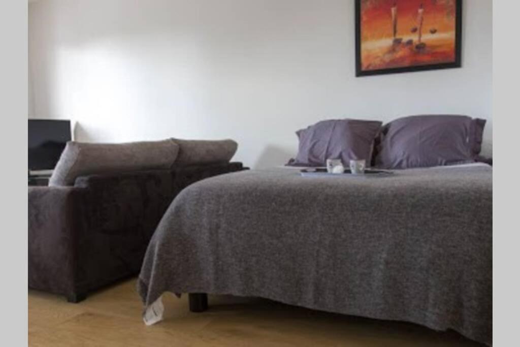 Apartment Le Schnokeloch Straßburg