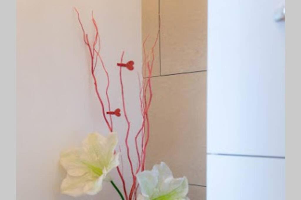 Le Schnokeloch Apartment Strasbourg