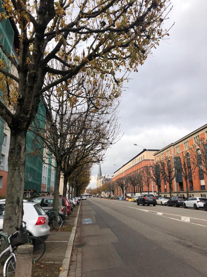 Studio Entier En Centre Ville Apartment *