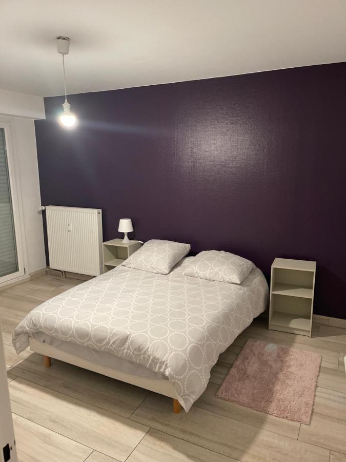 Superbe Avec Place De Parking Gratuit Straatsburg